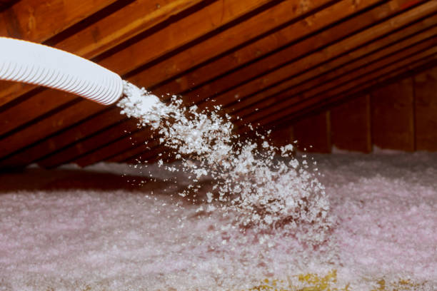 Best Residential Insulation in Peridot, AZ