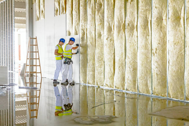 Types of Insulation We Offer in Peridot, AZ